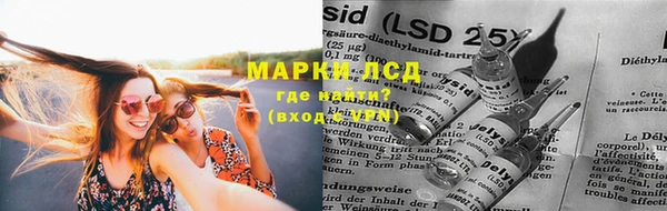 бошки Бородино